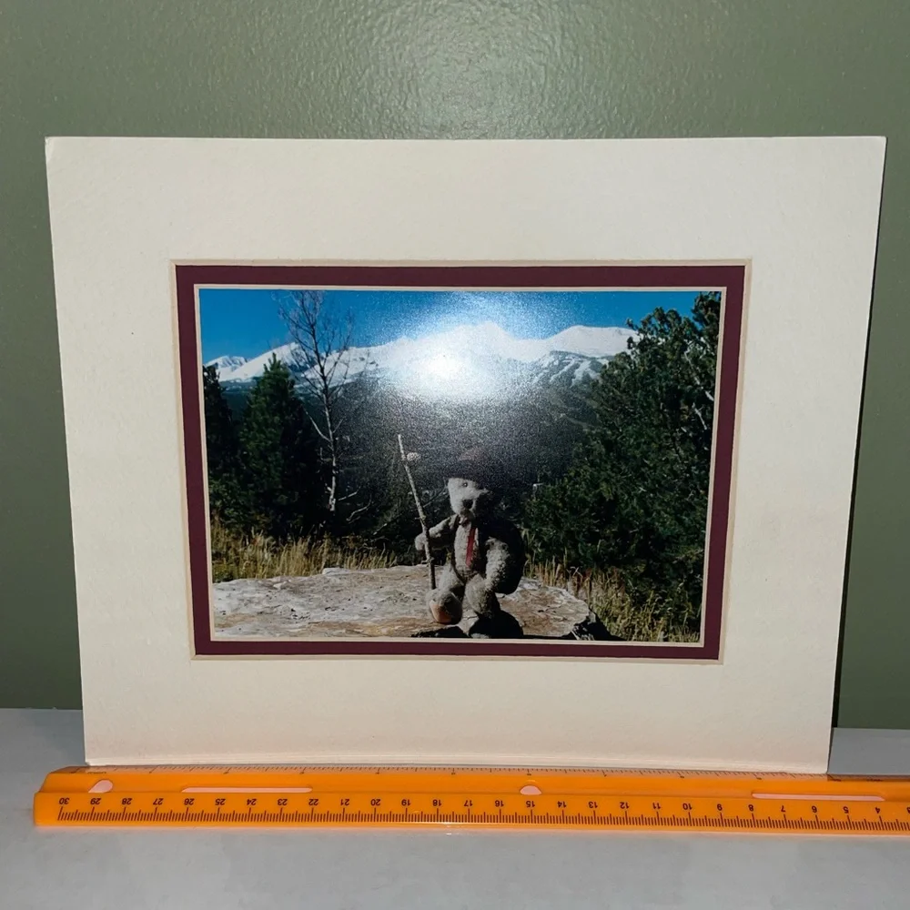 🧸Boyd’s Bears Framed Teddy Bear Mountain Photo